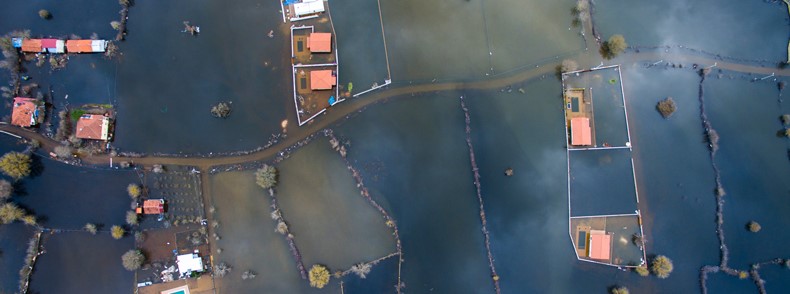 ハザードマップ（被害想定図）を活用しましょう！