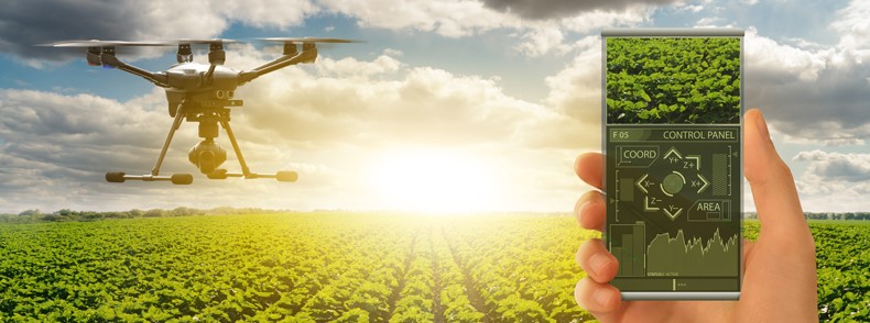 スマート農業と防災